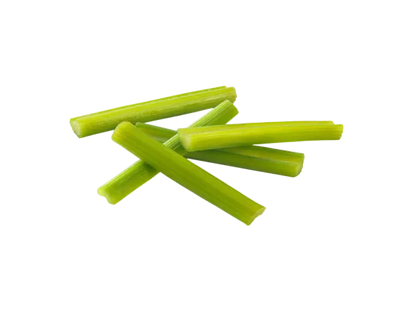 Crisp celery sticks served plain